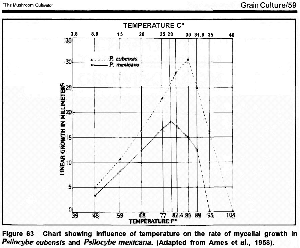 График оптимальной температуры для роста psylocibe cubensis